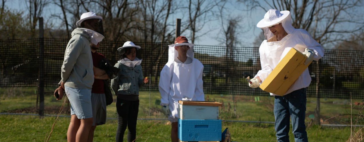 Lehigh Beekeeping Club