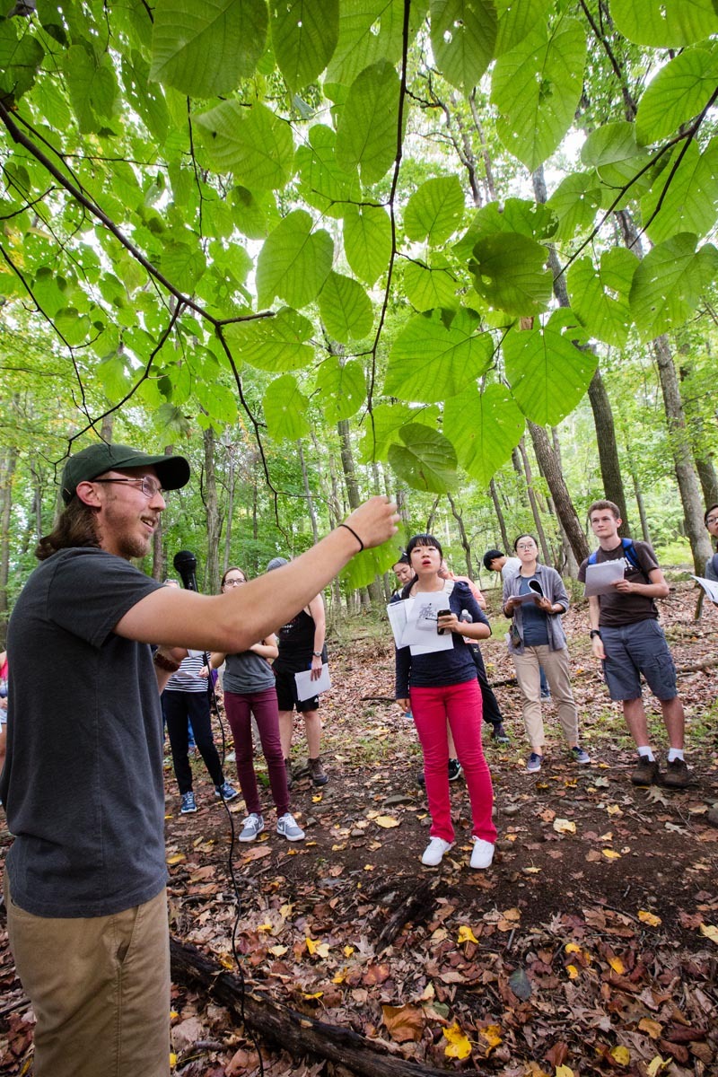 Learning Outside the Classroom