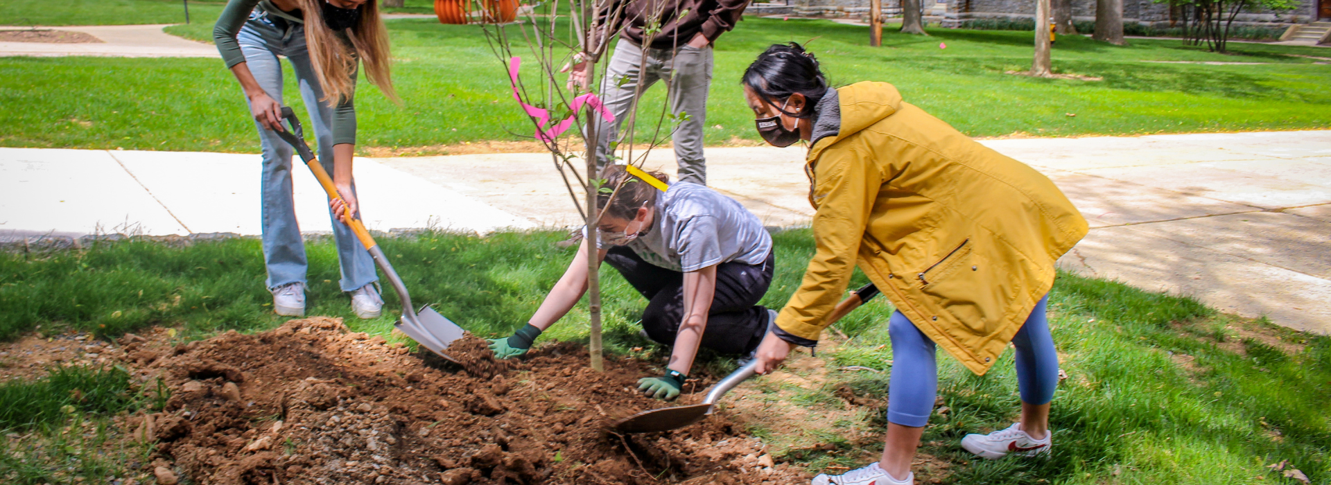 People for Trees: Celebrating Arbor Day with Holden Forests & Gardens