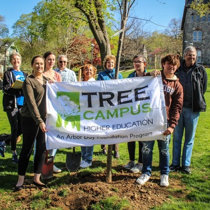 lehigh-tree-campus-usa
