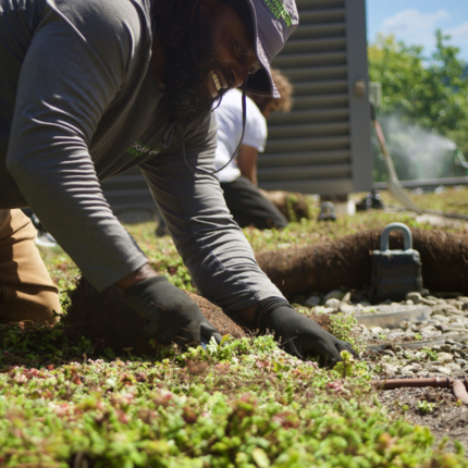 lehigh-STEPS-new-green-roof